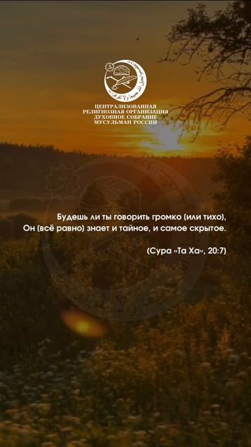Аят #shorts
