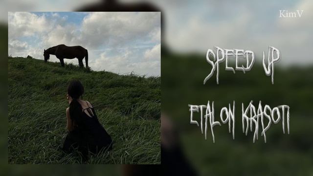 Bakr || Эталон красоты (speed up)