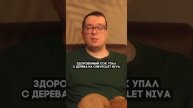 Бюджетная организация также обязана возместить ущерб, если дерево упало на машину🚘