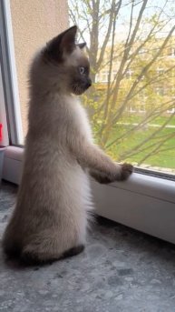 Как там погода?