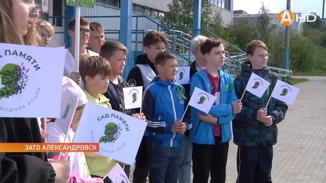 Деревьям присвоят имена героев   ЗАТО Александровск п?