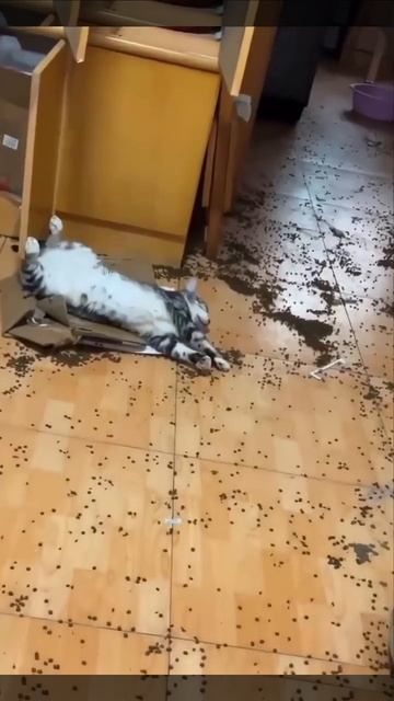 Он якобы не участвовал🤣