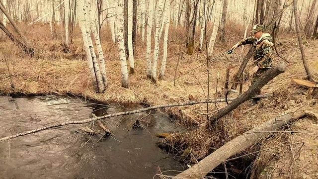 2025 Май, Багульник, Рыбалка, Черемша, Берёзовый Сок
