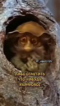 Дома всегда надо иметь.. 🤣