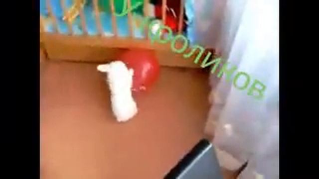 Прикол с песней 🏃 🏃  RUN