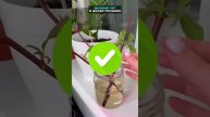 1000081980.mp4
