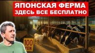 12-05-2025 | Япония без ценников: ферма у Фудзи, где всё по доверке и бесплатно! 🇯🇵❤️