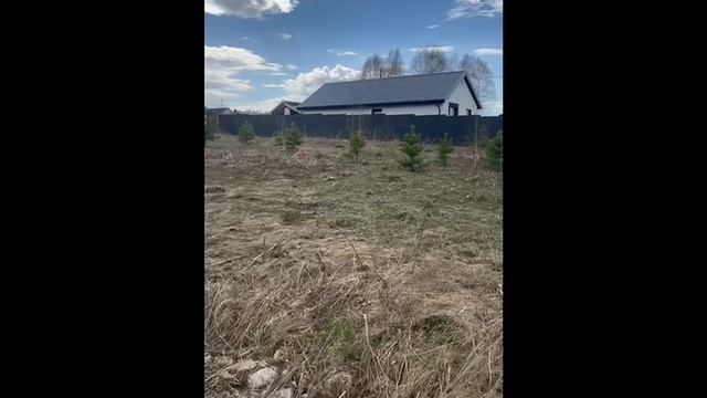 Западный Элита