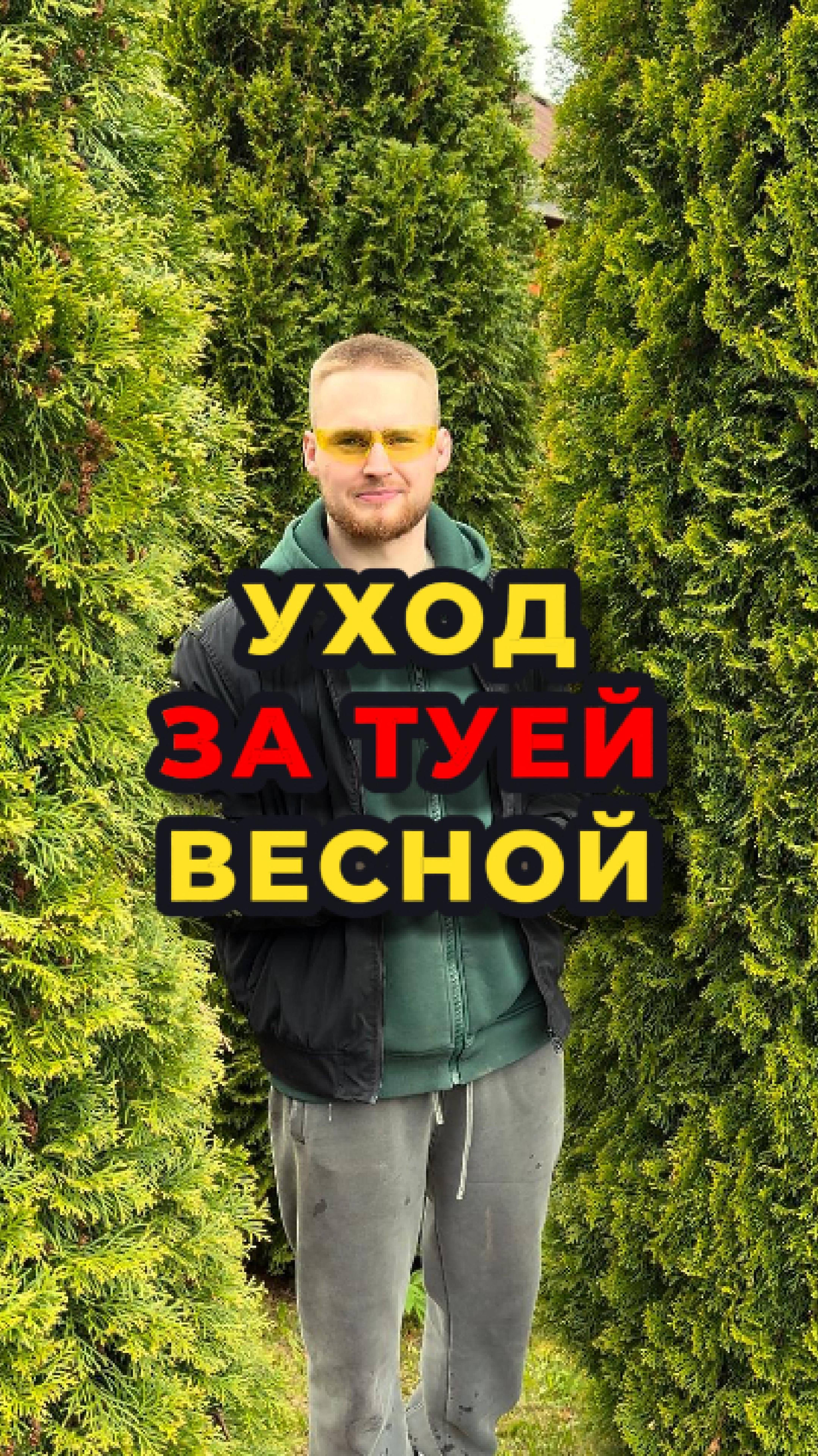 💦🌲Самое время обработать и подкормить ВАШИ ТУИ🌲💦