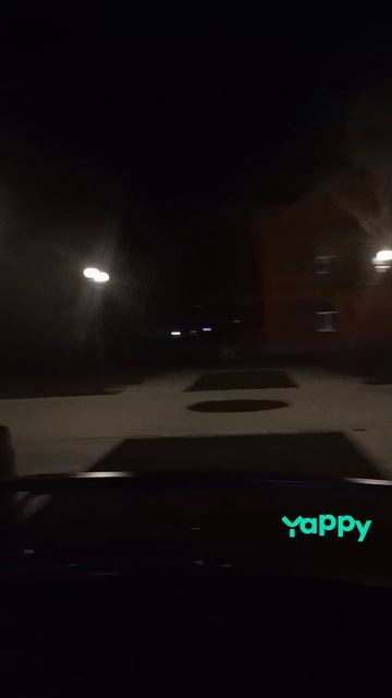 1010895347.mp4