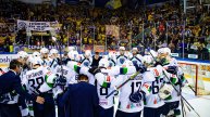 «Югра» вошла в топ-5 команд ВХЛ, чаще всего участвовавших в полуфинальных сериях