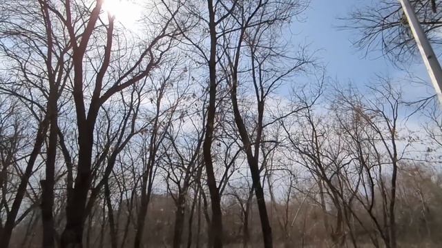Муж плеснул кофе мне в лицо: Отдай сестре свою кредитк?