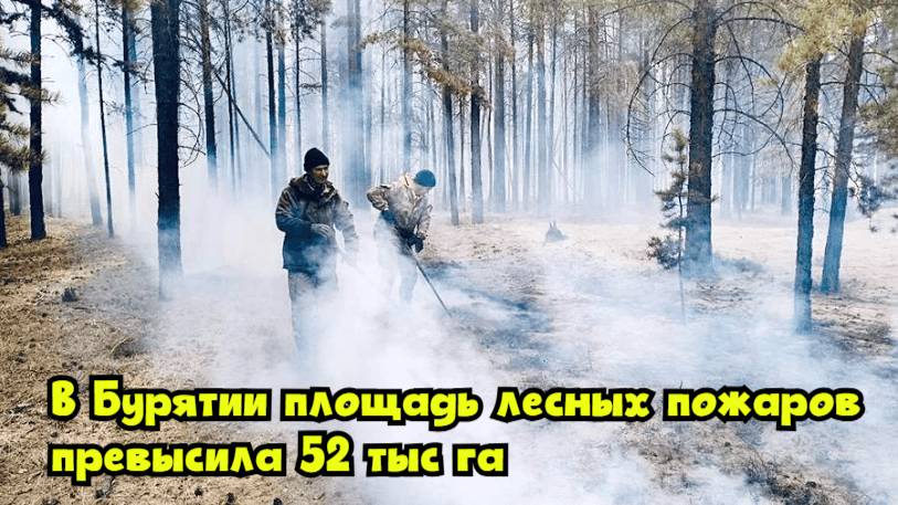 В Бурятии площадь лесных пожаров превысила 52 тыс. га