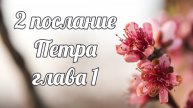 2 послание апостола Петра глава 1