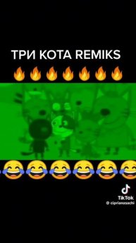 три кота три бомжа:)