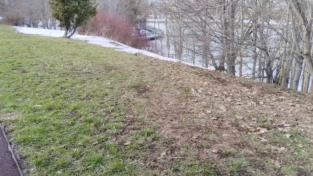 Прогулка по Зеленоградскому Дендрарию / Часть 1.