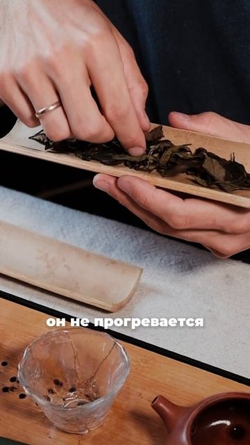 Чем белый чай отличается от зелёного?