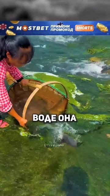 🐟🌿 Девушка ловит рыбу в чистой воде китайского леса!