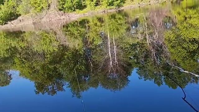Будни егеря. Рыбалка 🎣 на Песчанновке. 12.05.25.