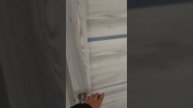 1000210490.mp4