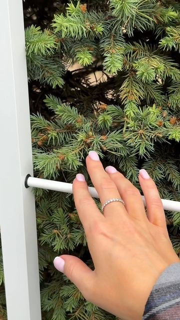 Самый приятный шоппинг — тот, который происходит онлайн 🌍