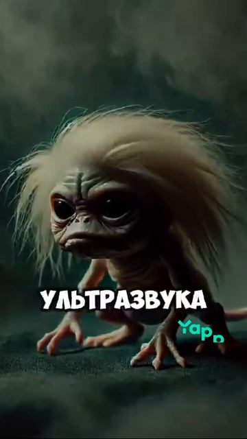 1000036251.mp4