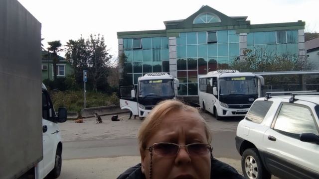 Обращение от имени общественности к компании - перевозчику "Транс Балт" маршрута №556...