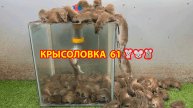 Крысоловка вариант (61) 🐀 Как сделать крысоловку своими руками и поймать кучу крыс 🐀🐁🐀