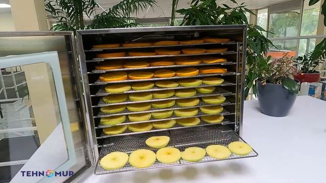 Дегидратор, сушилка для продуктов из нерж. стали Tehnomur S
