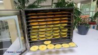 Дегидратор, сушилка для продуктов из нерж. стали Tehnomur S