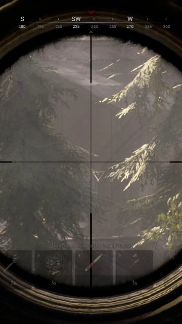 Hunt: Showdown. 180 метров. Дозвуковые патроны. Винтовка Мейнарда с глушителем.