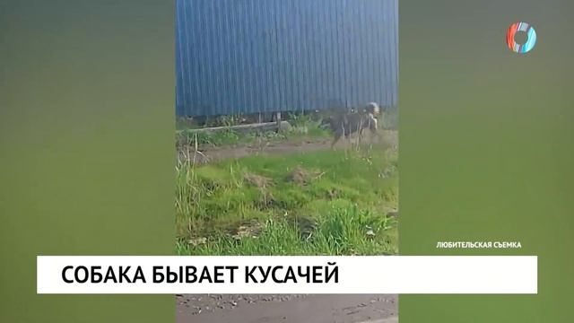 Новости от 12.05.2025