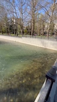 Река Салгир в Симферополе | КРЫМ