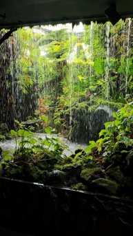 Оранжереи в Сингапуре - Flower Dome и Cloud Forest