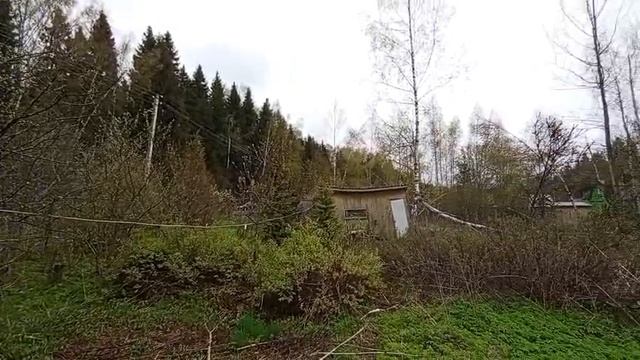 Видео WhatsApp 2025-05-12 в 14.02.49_3483c354