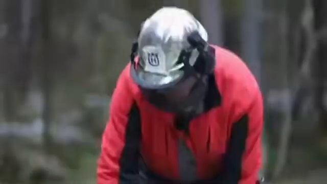Лесорубы не Могли Поверить