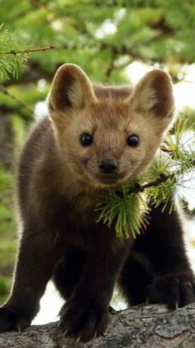 Это какой-то Форт Боярд, а не показ мод 😳 😲 😂