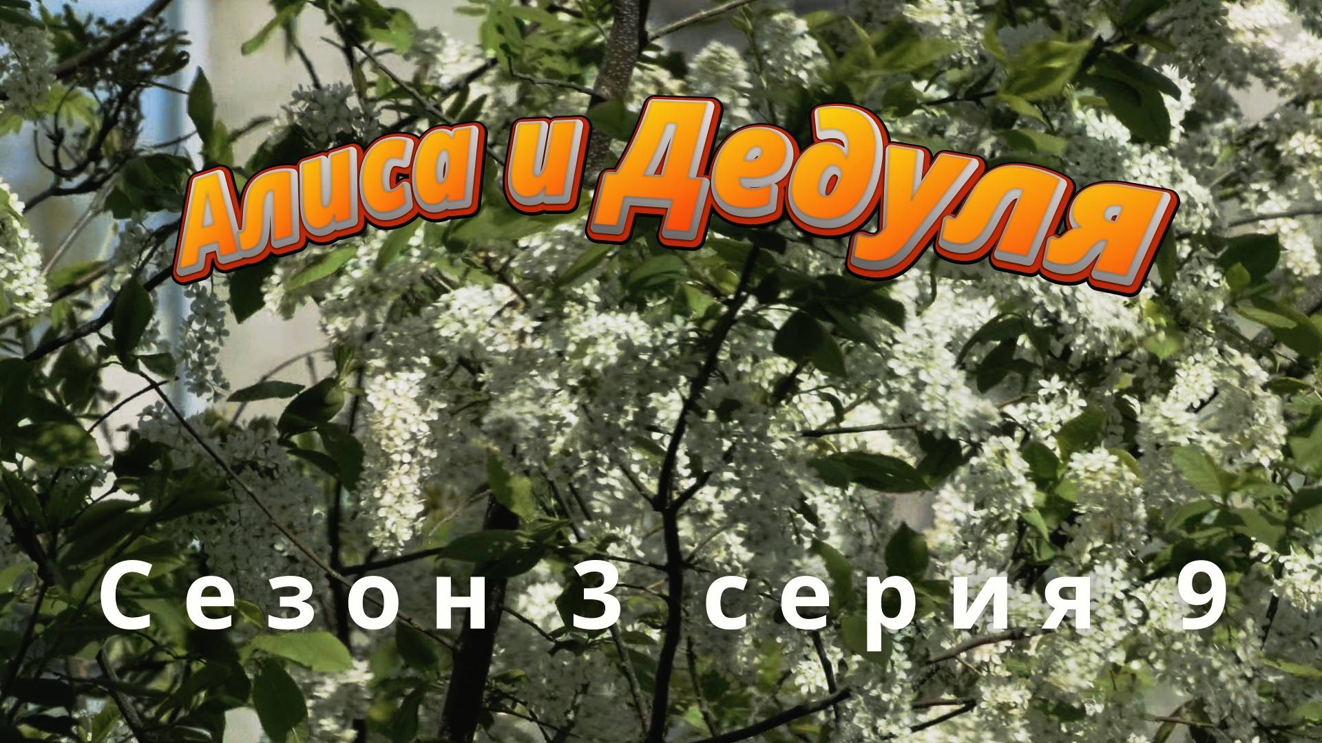 Сезон 3 серия 9 Алиса и Дедуля