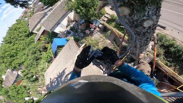 Пушистая зелёная Ель сегодня нам мешала