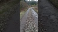 VID_20250508_111003.mp4