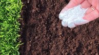 🥔🌿 ПОСЫПЬТЕ ЭТИМ ЗЕМЛЮ ПОСЛЕ УБОРКИ КАРТОФЕЛЯ! ИСЧЕЗНУТ ПРОВОЛОЧНИК И ФИТОФТОРА! БЕЗ ПРЕПАРАТОВ!