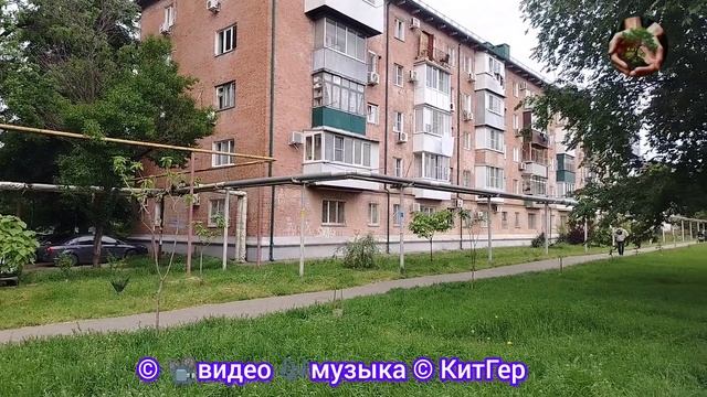 Редкость зелёные дворы нынче редкость