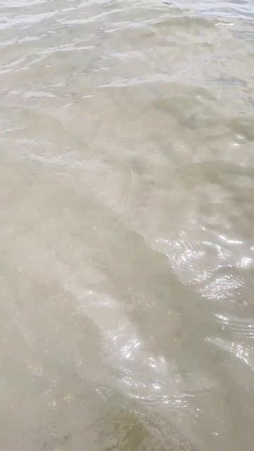 Анапа. Витязево .5 сентября 2024. 12.00 погода.