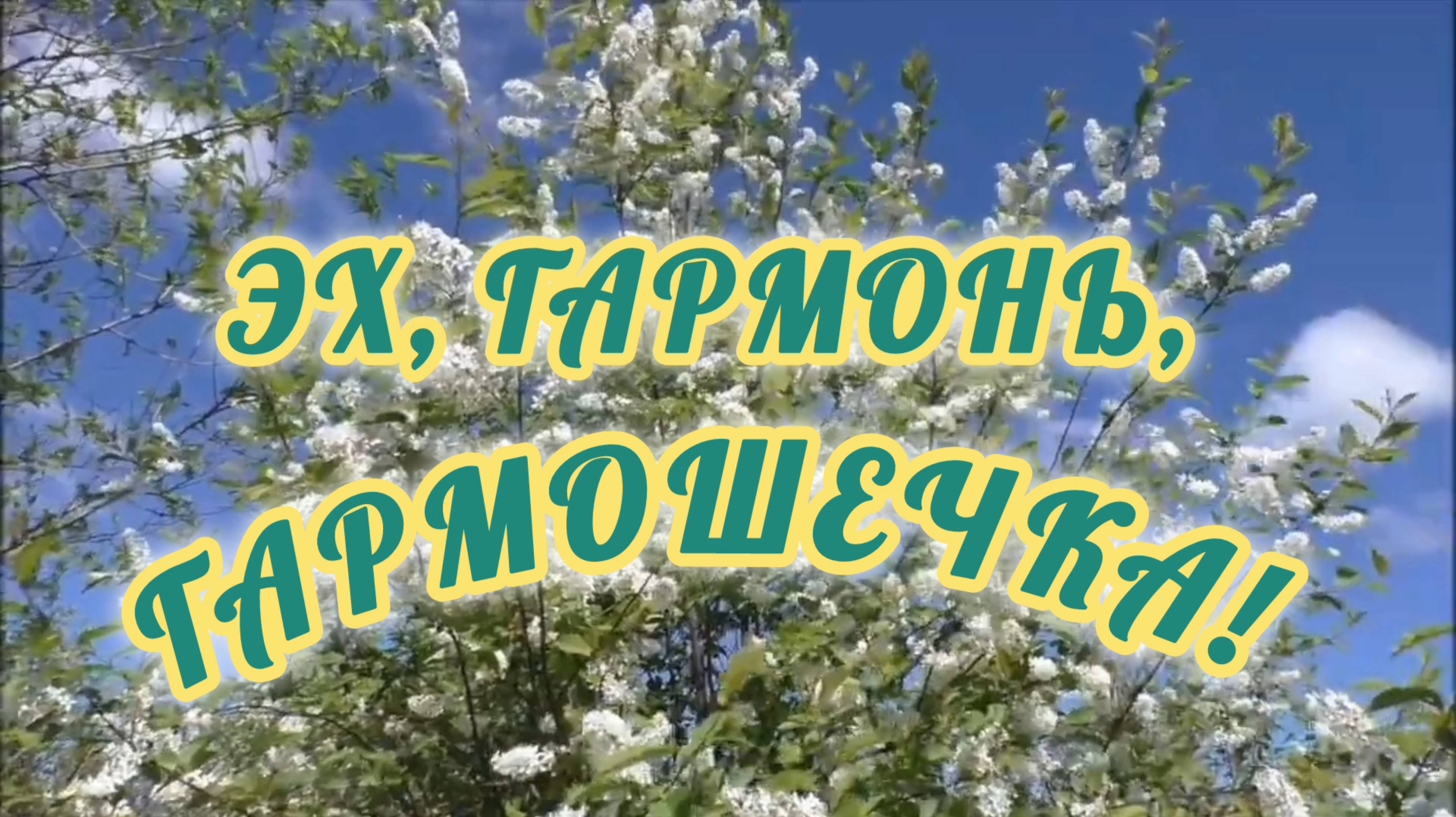 ЭХ, ГАРМОНЬ, ГАРМОШЕЧКА!