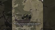 Торман