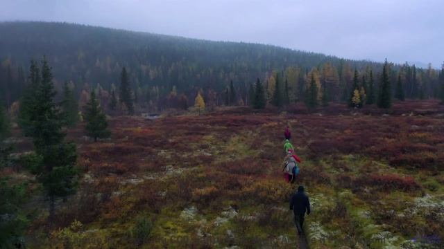 Дикие звери и дикий вайб! - Ugly Truth -- HoliznaCC0 -- Left Overs
