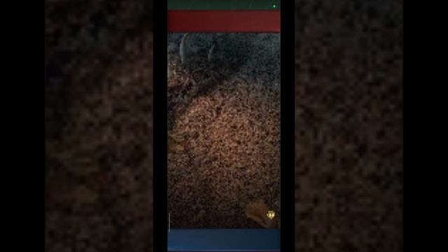 12.05.25 Ant Legion