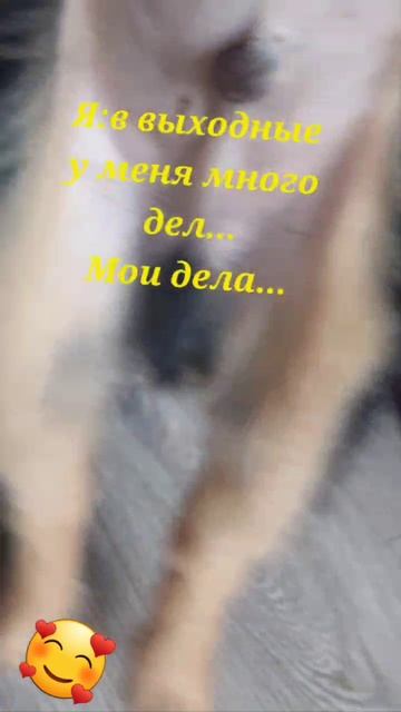 Маха танцует для вас))