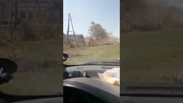 Борьба с треногой. Борец с видеофиксацией на дорогах.