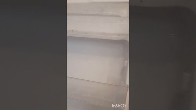 плесень в холодильнике. чем чистить холодильник